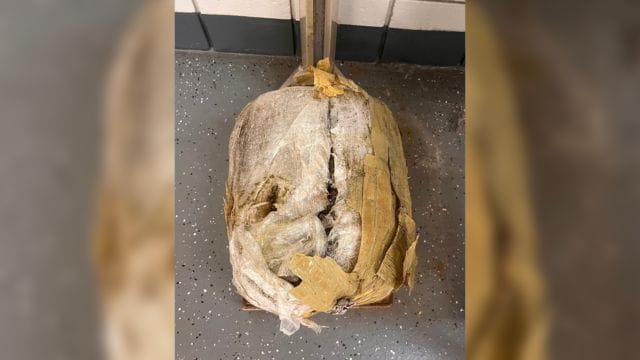 30-Pound Marijuana Bales Discovered on Florida Beach - Locals Shocked!