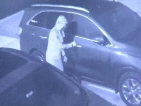 Breaking News Florida Sees Alarming Increase in Car Thefts - Are You Next