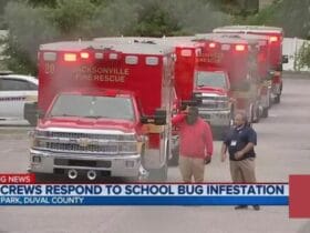 Bugs Attack 27 School Children and Instructor - Parents Outraged!
