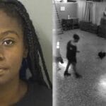 Dog Trainer Arrested for Animal Cruelty - The Video Evidence is Disturbing!