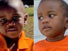 Police Announce Cause of Florida 2-year-old's Death in Alligator's Jaws!