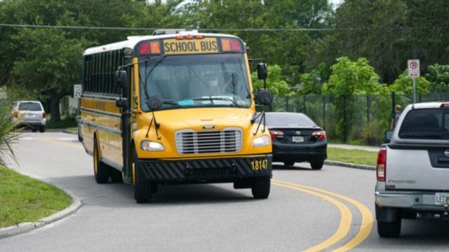 Shocking Palm Beach County School Bus Drivers Facing Gun Scares on the Job.