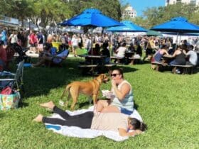 West Palm Beach Farmer's Market Takes Over Downtown Streets for First Time Ever!