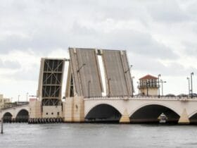 Woman Miraculously Survives Fall From Royal Park Bridge - How Did She Do It