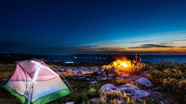 Camping Gems: Yelp's Guide to the Best Campsites in Miami