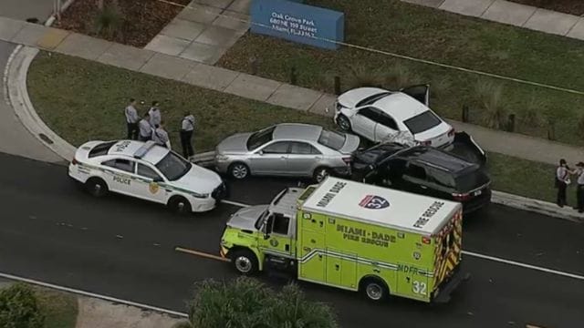 Mother of Six Fatally Shot in Front of Her Children in Northeast Miami