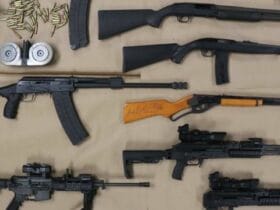 New Police Chief's Bold Move Leads to Over 20 Guns Seized - See How He Did It!