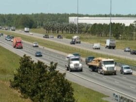 Revolutionary $11.9 Million Bridge Set to Save Florida's Wildlife!