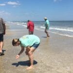 Shark Tooth Hunting Hotspots in Palm Beach County