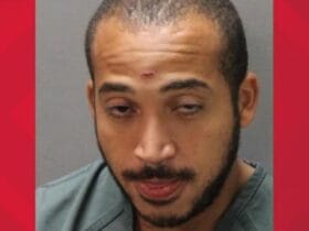 Shocking Murder Confession Man Pleads Guilty to Brutal Hammer Attack!