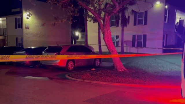 Two Men Shot at Orlando's Palm Grove Gardens