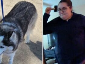 Woman Arrested for Repeatedly Beating 9-Year-Old Dog with Rubber Club!