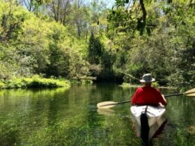 Best State Parks Florida