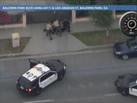 Los Angeles Sheriff's Deputies Apprehend Driver in Stolen Vehicle Pursuit