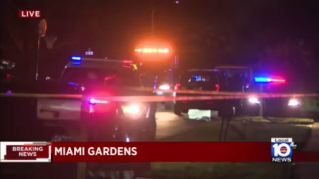 Police Apprehend Hit-and-Run Suspect after Intense Chase in South Florida