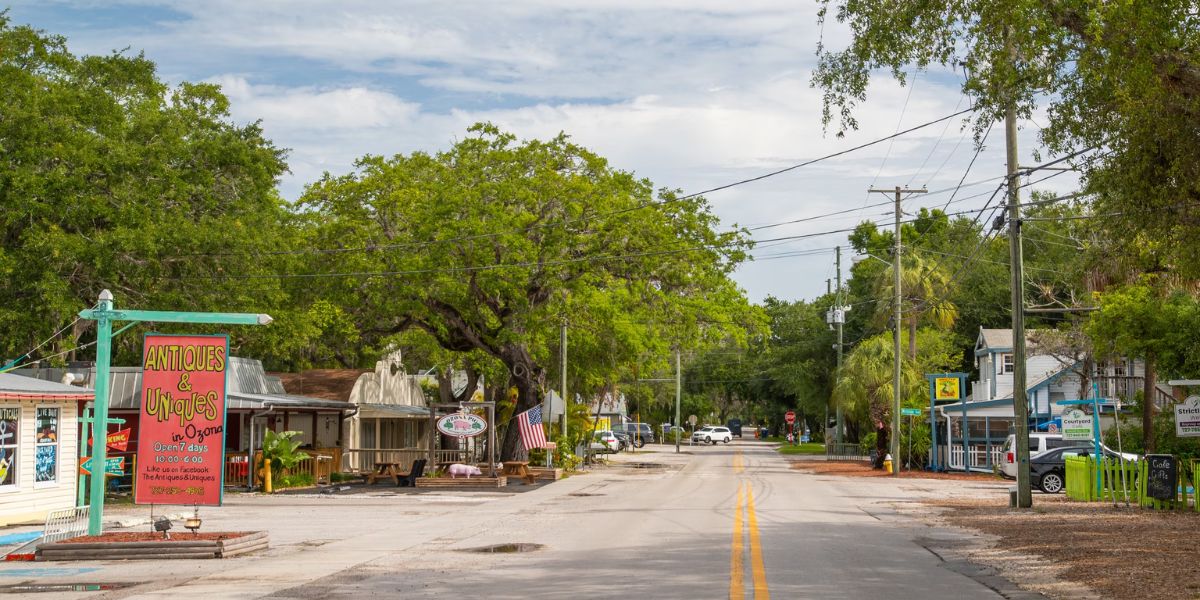 5 Safest Neighborhood in Palm Harbor, Florida