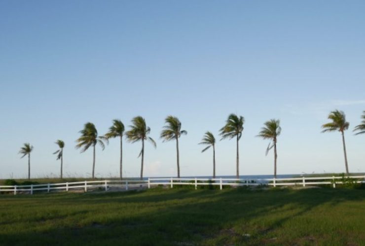 Discover the Top 5 Safest Neighborhood in Lauderhill, Florida!
