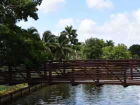 Discovering The 5 Most Beautiful Places to Visit in Lauderhill, Florida!