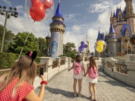 Exploring the Magic Discover Florida's World-Famous Theme Parks