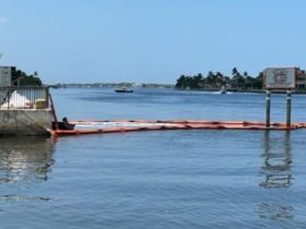 Florida DEP Launches Investigation into Boynton Beach Sewage Spill