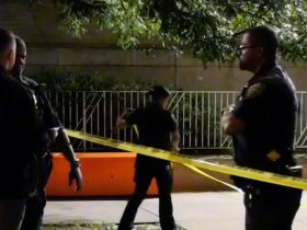 NYC Bronx Park’s Altercation Leads to Stabbing of Mother by Box Cutter