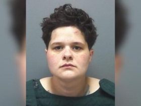 Shocking Arrest Canton Teenager and Stepmother Caught Breaking into 26 Cars
