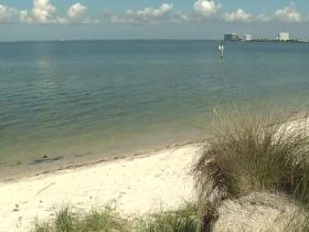 A Total of Five People in Florida Lost Their Lives as a Result of Flesh-eating Bacteria.