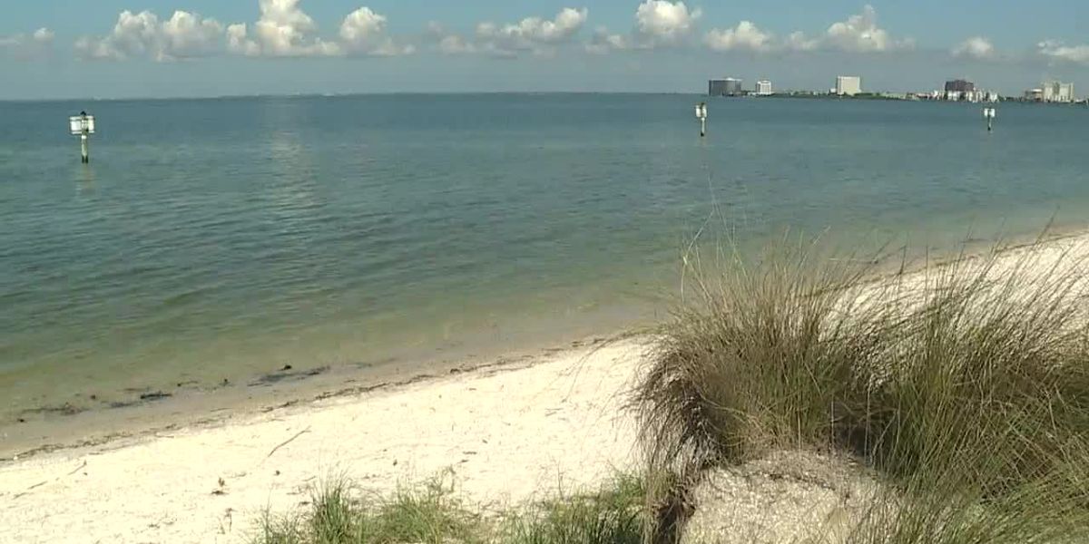 A Total of Five People in Florida Lost Their Lives as a Result of Flesh-eating Bacteria.