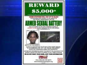 Fort Lauderdale Police Investigate Downtown Kidnapping and Carjacking Cases