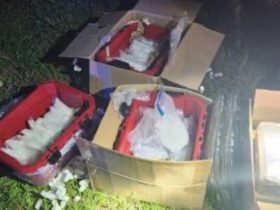 High-Speed Drug Pursuit Ends in 32 lbs. Confiscation - Indian River County