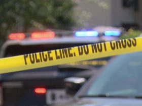 Man Survives Shooting Incident at Tallahassee Apartment Complex