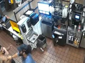 Man's McDonald's Meltdown: Transient Throws Rocks and Confronts Staff