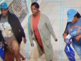 Multiple Shoplifting Incidents at Orange Park Mall Can You Help Identify the Suspects