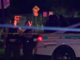 The Miami Police Department is Now Investigating a Shooting That Occurred in the Area