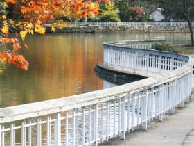 Underrated Neighborhoods in Auburn