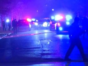 Wyoming Highway Collision Linked to Man Dropping Tree Branches