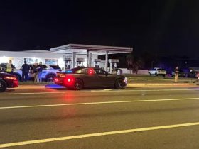 13-Year-Old Bicyclist Hit by Tampa Police Cruiser on Busch Blvd Intersection