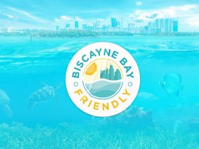 With a $1.5 million award, Miami-Dade County officials are hoping to clean up polluted Biscayne Bay