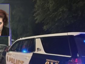 DUI Charges Filed Against Tampa Woman for Dangerous Wrong-Way Drive on I-75