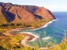 Most Dangerous Neighborhoods in Halawa, Hawaii