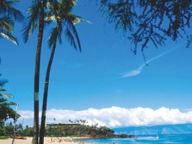 Most Dangerous Neighborhoods in Maui County