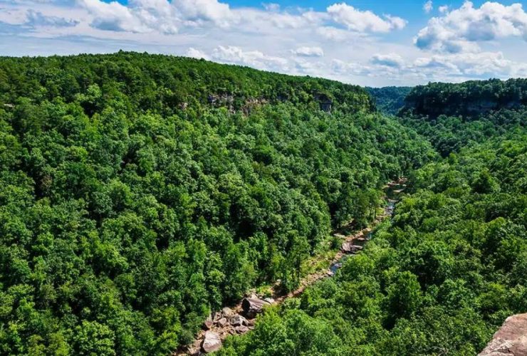 Most Underrated Neighborhoods in Morgan County, Alabama