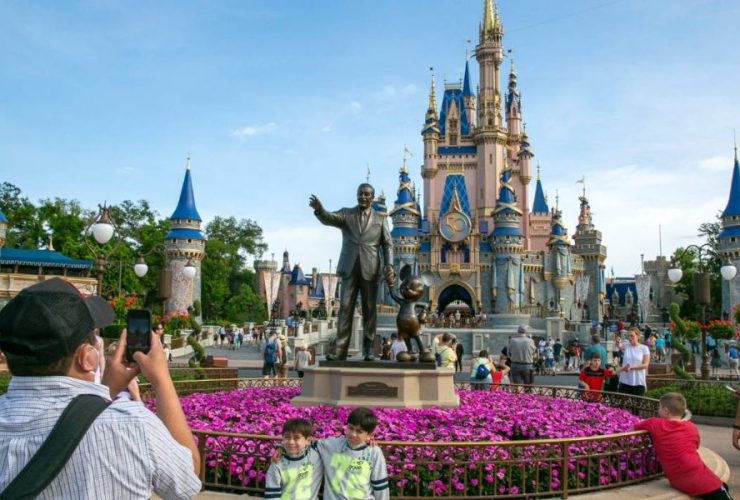 Search Ends as Wild Black Bear Found and Captured at Walt Disney World