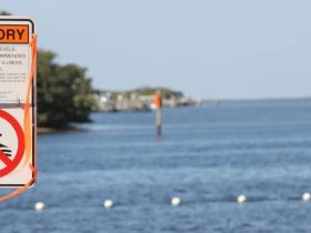 Swimming Restricted at Two Hillsborough County Beaches Due to Elevated Bacteria