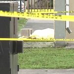 Violence Two Shooters Claim a Life in Miami-Dade