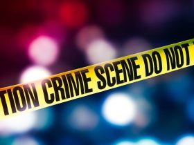 Arrest Made in Hit and Run Near University of Florida Involving Senior Citizen