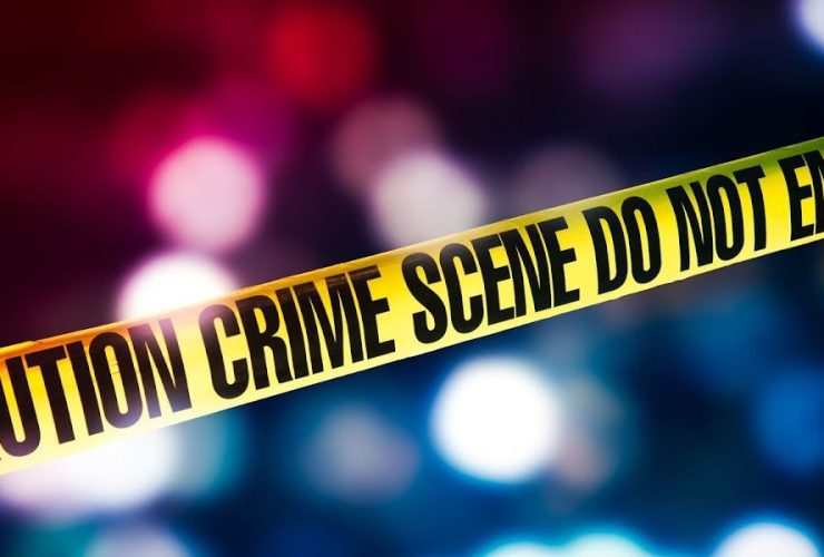 Arrest Made in Hit and Run Near University of Florida Involving Senior Citizen