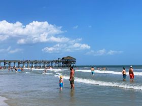Body Found at Cocoa Beach, Authorities on the Hunt for Clues