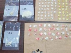 Lake City Police Crack Down on Alleged Drug Kingpin, Make Arrest