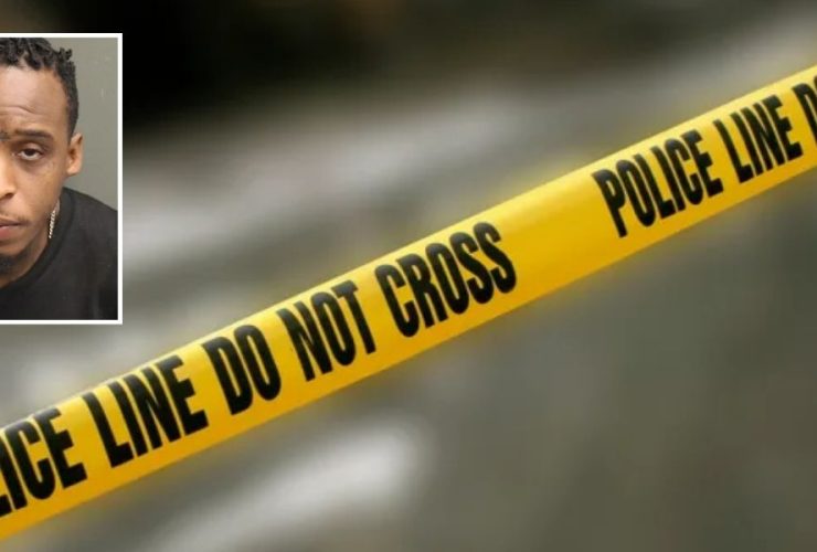 Man Charged with Beating Pregnant Girlfriend, Fleeing Police